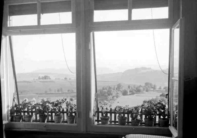 Armenanstalt Utzigen (Altersheim): Blick aus dem Fenster