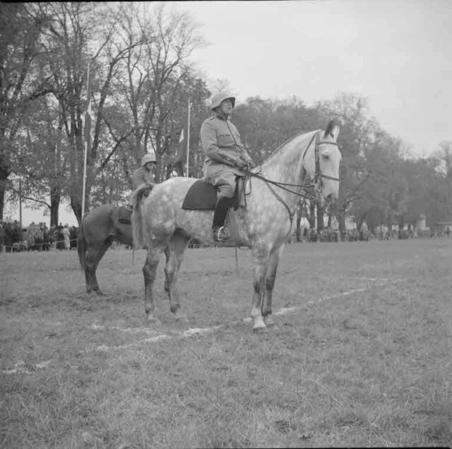 Artillerie-Défilée, Allmend: Soldat auf Pferd, Zuschauer
