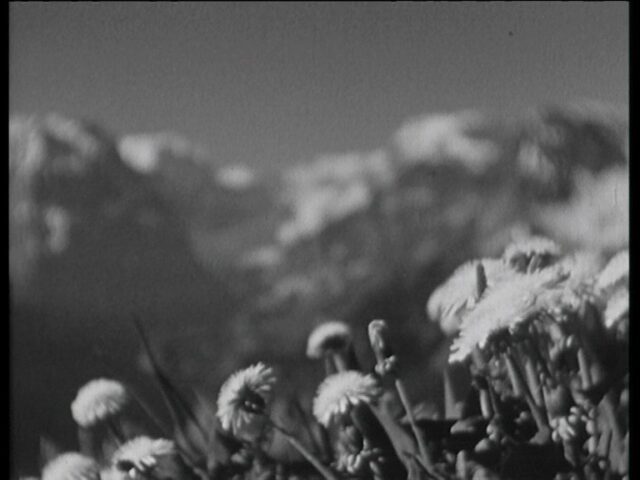 Braunwald Frühling