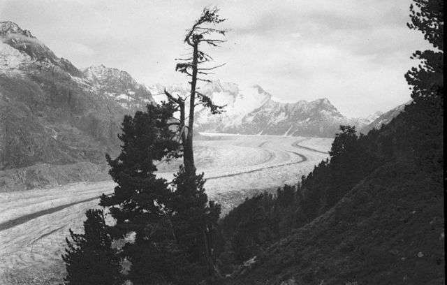 Wallis: Aletschgletscher