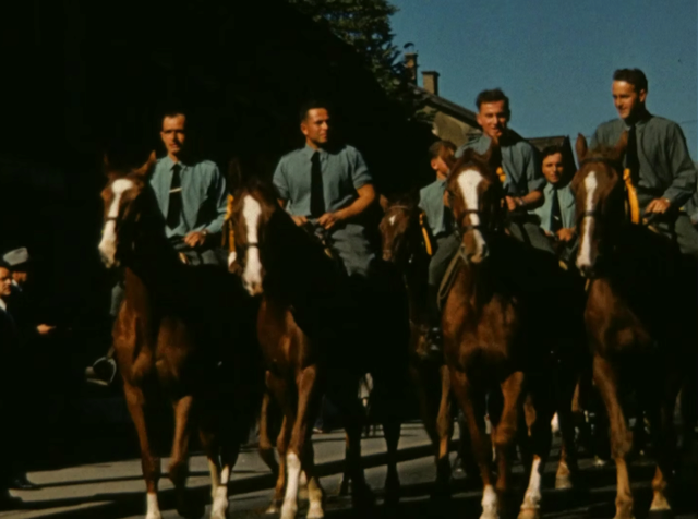 Tag des Pferdes 14.10.1956 im Kanton Schaffhausen.