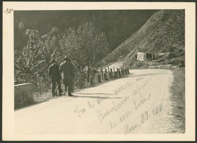 Strada della Biaschina (N. 10)