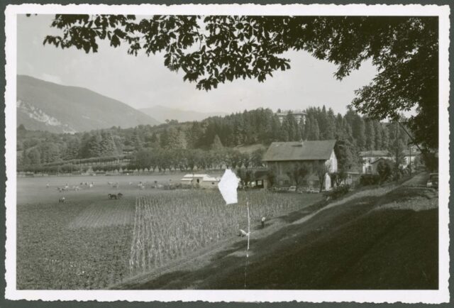 Campi agricoli