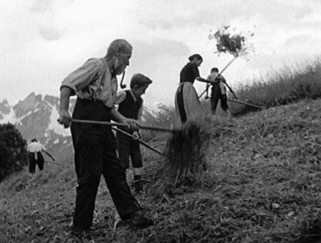 Fondo nazionale per l'agricoltura (0049-2)