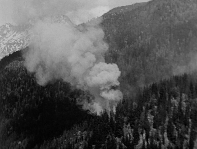 Incendio forestale nella regione dell'Aletsch (0195-2)