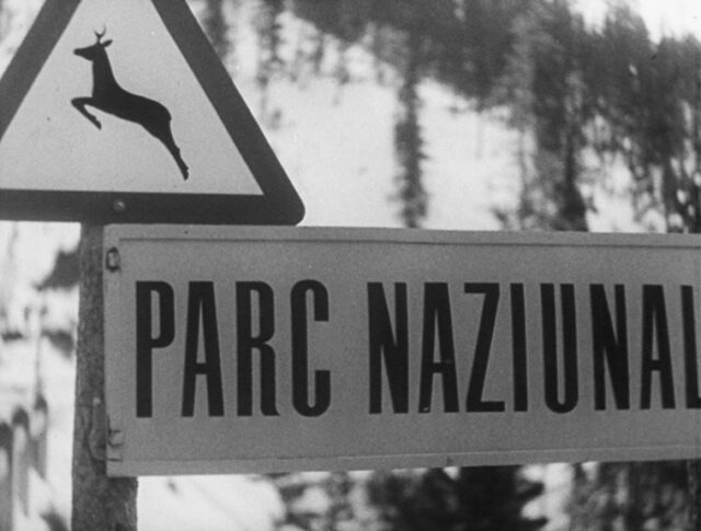 Parco Nazionale, Spöl e Inno (0842-2)
