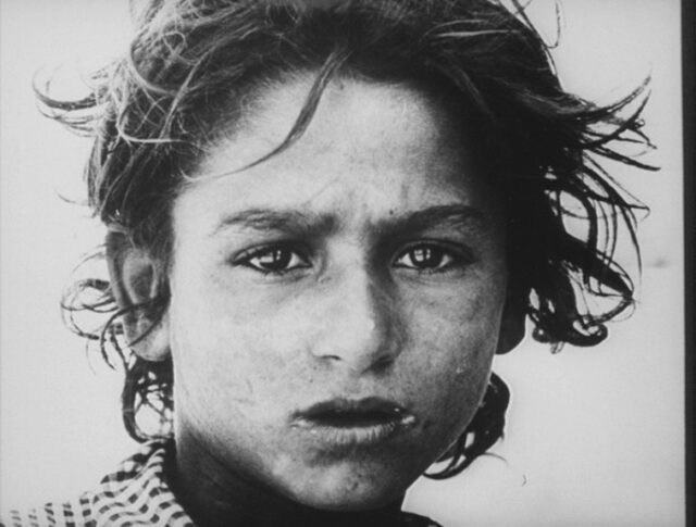Le migliori istantanee del 1966 (1256-4)