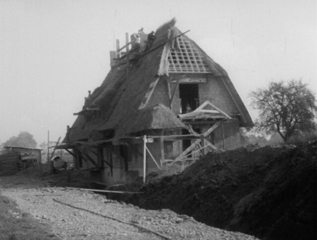 Il tetto di paglia (1373-3)
