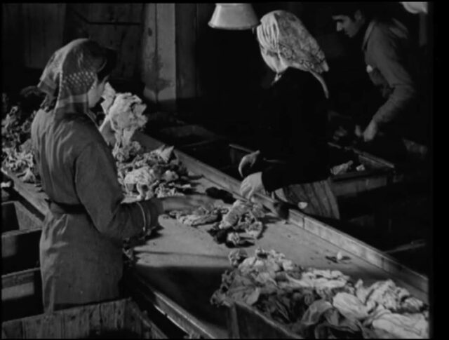 La récupération des chiffons (0013-3)