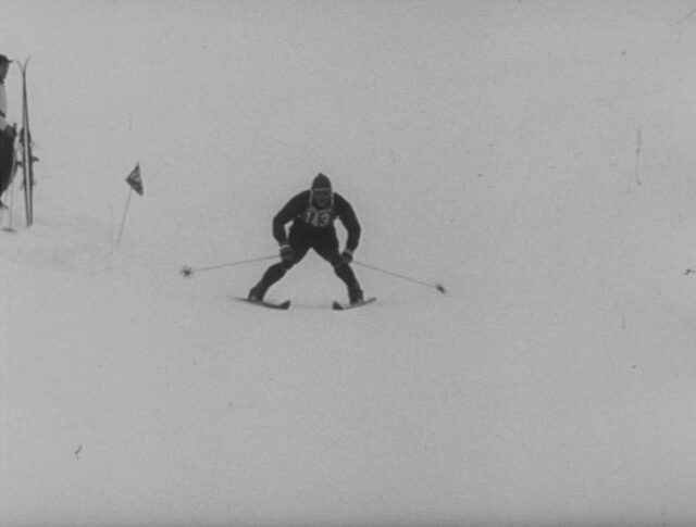 Ski (0659-5)
