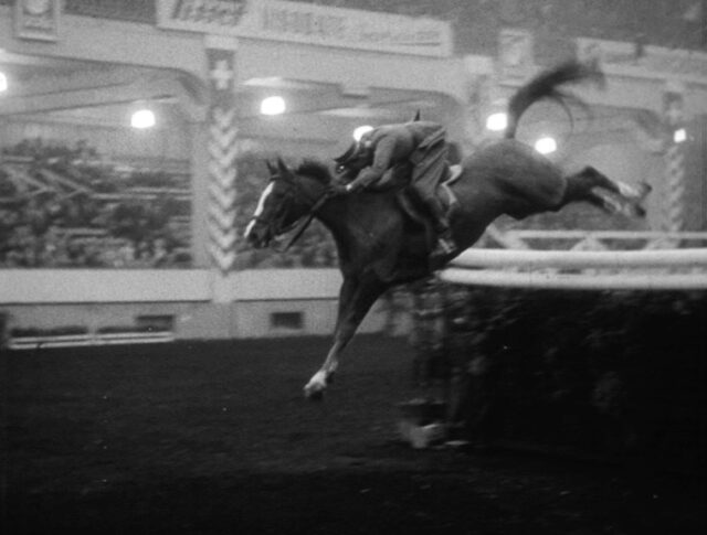 Sport hippique (0698-5)