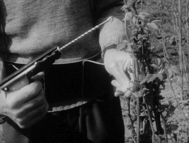 Une invention surprenante (0966-4)