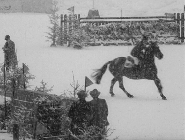 Pferde im Schnee (1008-1)