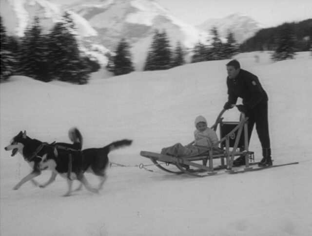 Hunde im Schnee (1198-1)