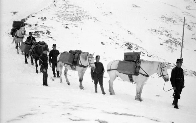 Saumkolonne auf dem Abstieg von der Dreisprachenspitze