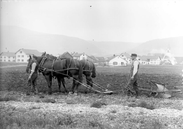 Soldaten mit Pferdegespann beim Pflügen