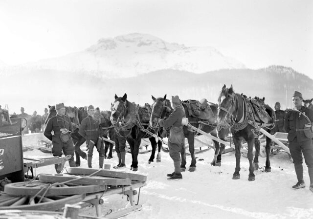 Pferde und Soldaten der Feldartillerie
