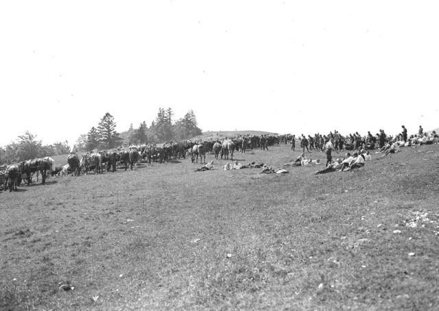 Pferde und Soldaten geniessen die Pause nach dem Marsch