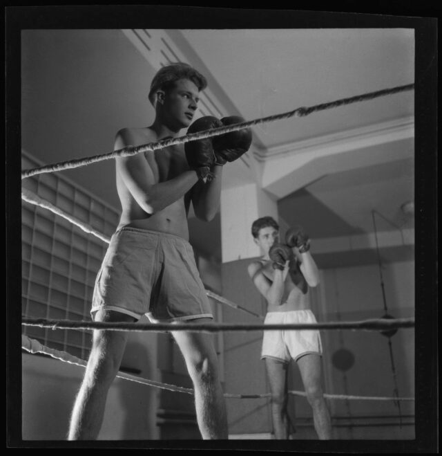 Boxschule Bern