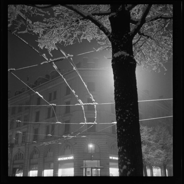 Trolleybus-Leitungen