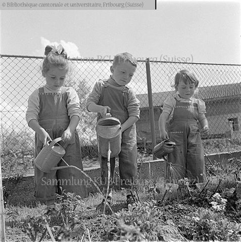 Sarine, Farvagny: enfants Biffrard, arrosage du jardin potager