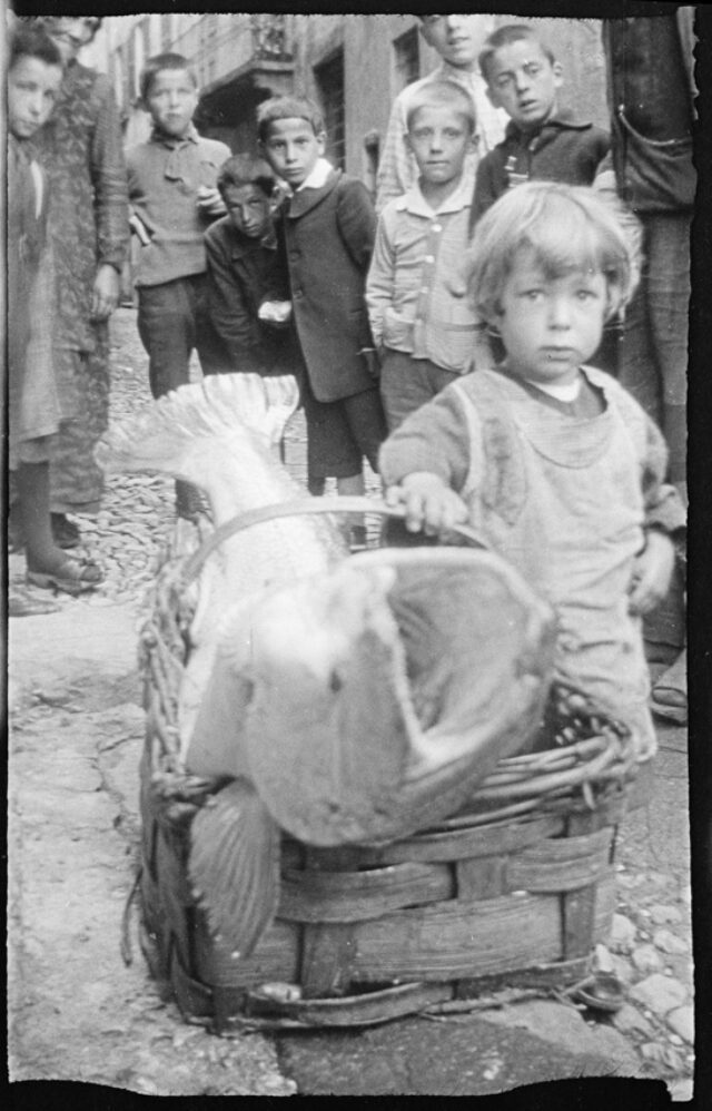 Enfant, entouré de jeunes garçons, debout auprès d'un panier dans lequel repose un énorme poisson