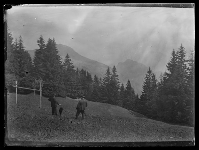 Zwei Männer in einer Wiese vor Bergpanorama