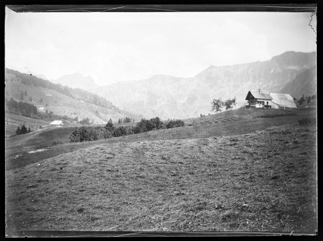 Eine Wiese bei Sörenberg, im Hintergrund das Brienzer Rothorn