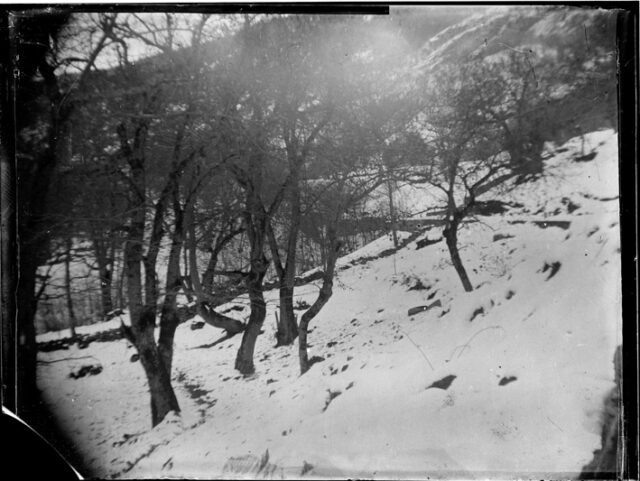 Paesaggio sotto la neve