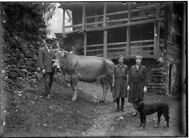 Famiglia Guglielmazzi, da sinistra Germano, Eugenia e Agostina con una mucca e un cane davanti a una casa