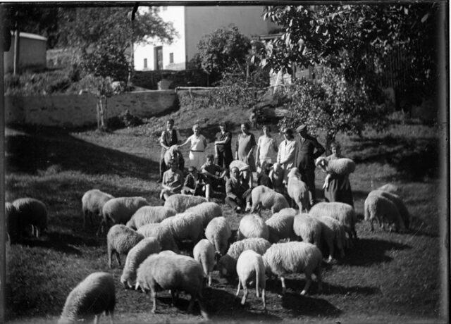 Gruppo di persone con un gregge di pecore a Traversa; prima seduta da sinistra: Vescovi Tranquilla; terzo seduto da sinistra Arturo Vescovi; secondo da destra: Giuseppe Vescovi; terza da destra: Giovanna Vescovi