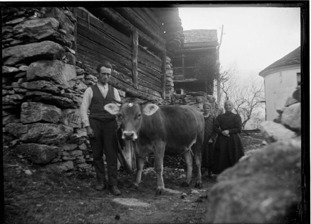 Un uomo, una mucca e due donne, davanti a una stalla a Casserio