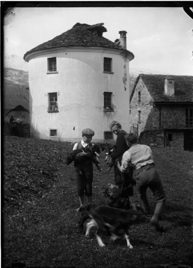 Tre ragazzi giocano con cani e capre a Casserio; a sinistra: Luigi Arcioni; al centro: Giuditta Nodiroli