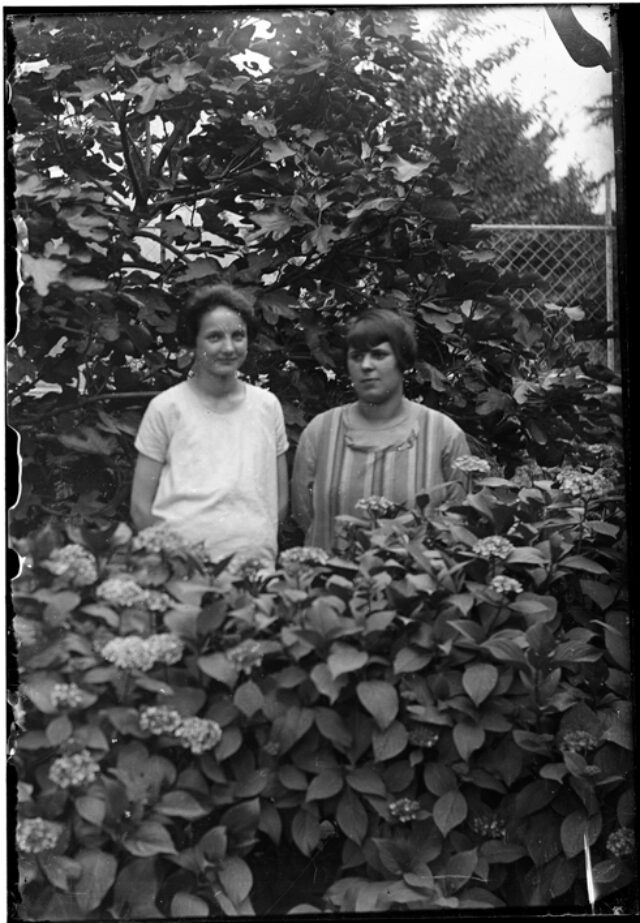 Due donne in piedi dietro un cespuglio di ortensie
