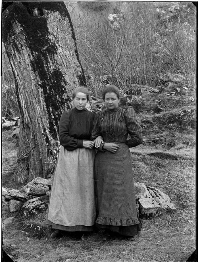 Due donne in piedi sotto un albero