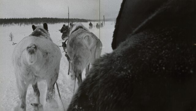 Rentierschlitten, in der Nähe von Aldan, Sibirien, um 1970