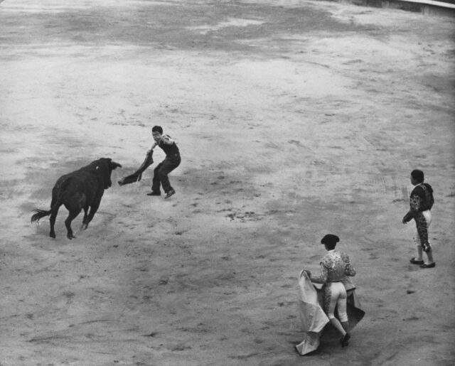 Stierkampf, Spanien, 1955