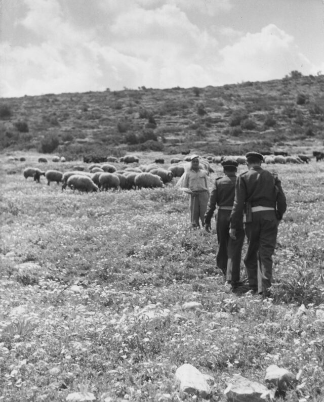 Grenze zwischen Israel und Jordanien, 1956