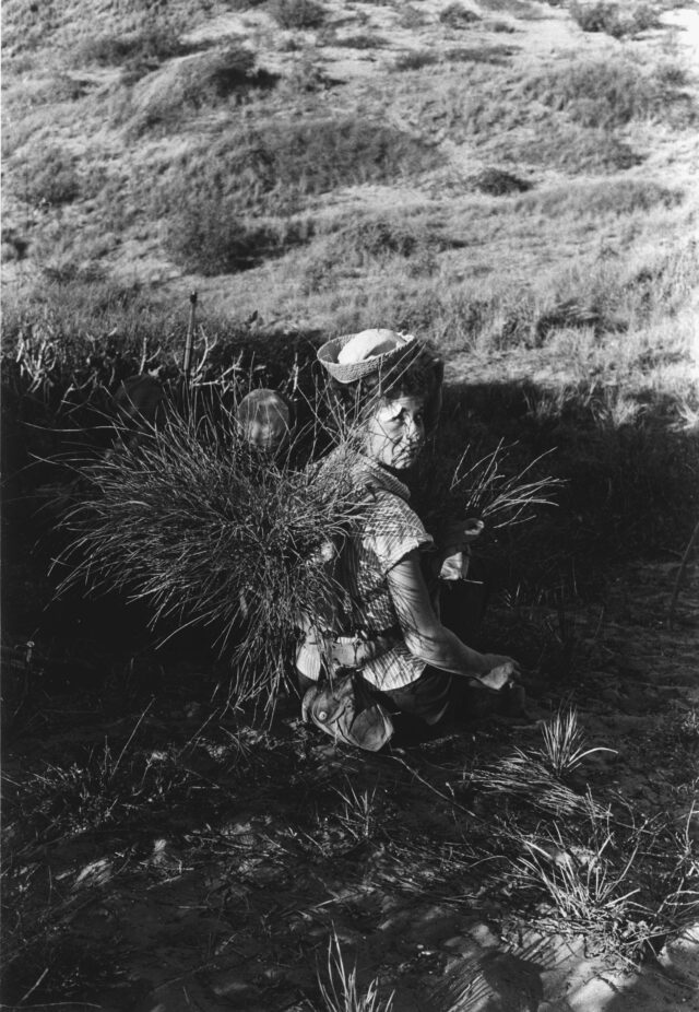 Militärisches Lager, Israel, 1960