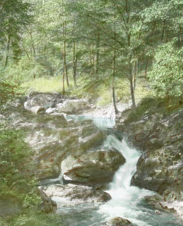 Bach im Wald, 1920-1935
