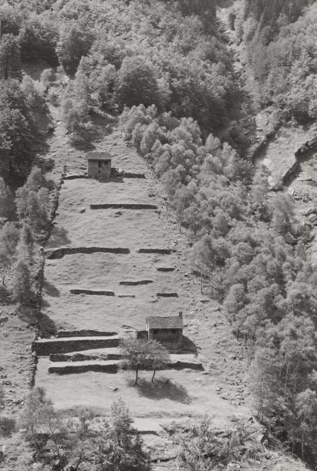 Lichtung (Rodung) im Val di Vergeletto, Kanton Tessin, um 1940