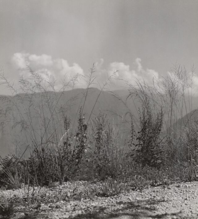 Wind, Wolken, Gräser, Tessin, um 1940
