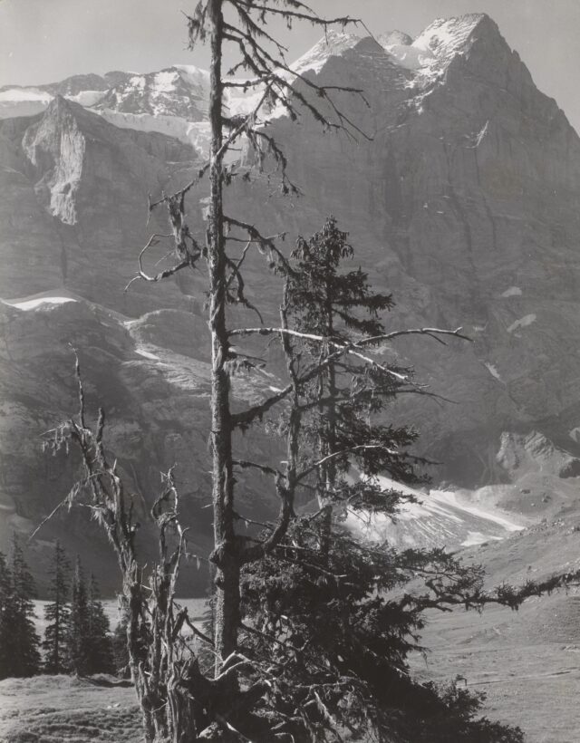 Wetterhorn, um 1940