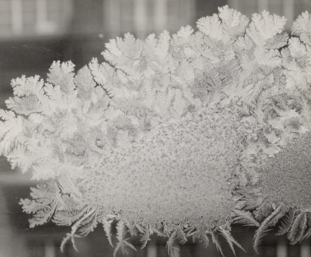 Eisblumen an einer Fensterscheibe, 1930er–1940er Jahre