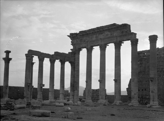 Syrie - Palmyre - Tadmor