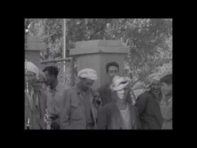 S.O.S. Algérie