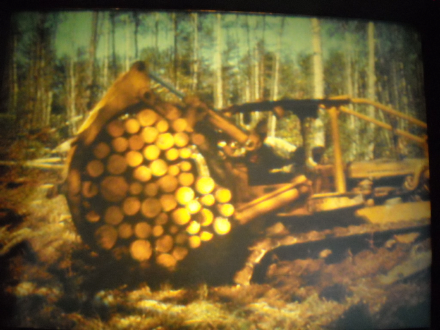 Waldindustrie in Kanada