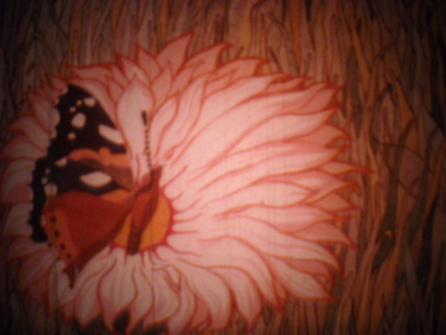 Butterfly 1975