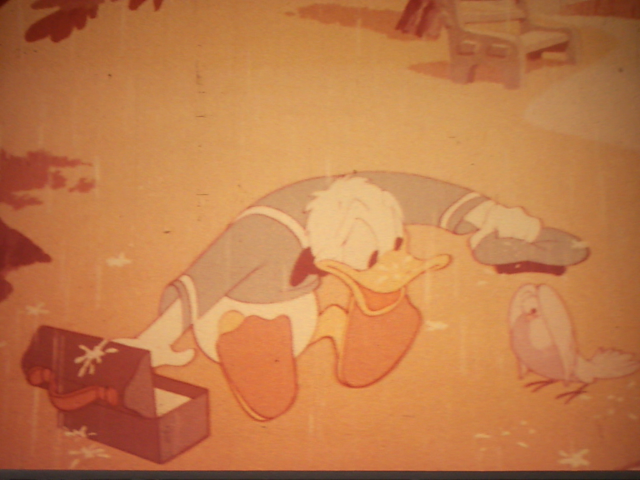 Donald Duck "The Trial Of Donald Duck"