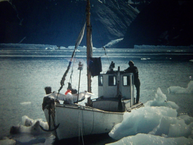 Grönland Expedition - Reste